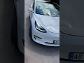 Седан Tesla Model 3 2020 null_content л. Автомат обл. Винницкая, Винница - Фото 1/21