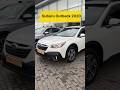 Универсал Subaru Outback 2020 2.39 л. Вариатор обл. Полтавская, Полтава - Фото 1/13