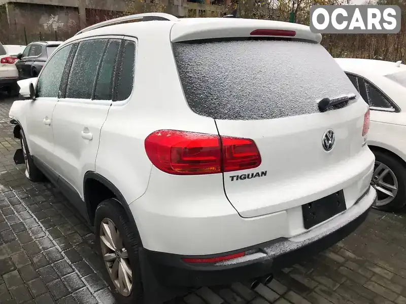 Внедорожник / Кроссовер Volkswagen Tiguan 2016 2 л. Автомат обл. Львовская, Львов - Фото 1/7