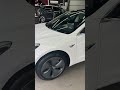 Седан Tesla Model 3 2020 null_content л. Автомат обл. Киевская, Киев - Фото 1/21