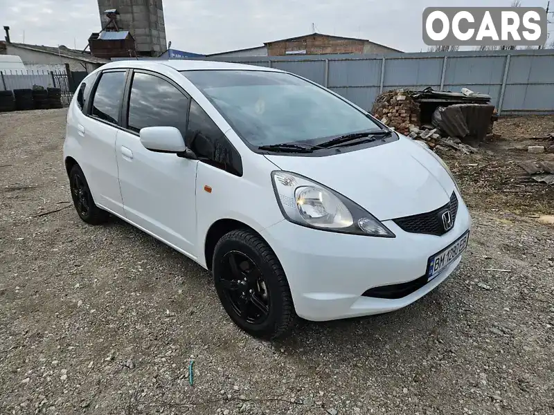 Хетчбек Honda Jazz 2010 1.2 л. Ручна / Механіка обл. Сумська, Шостка - Фото 1/13