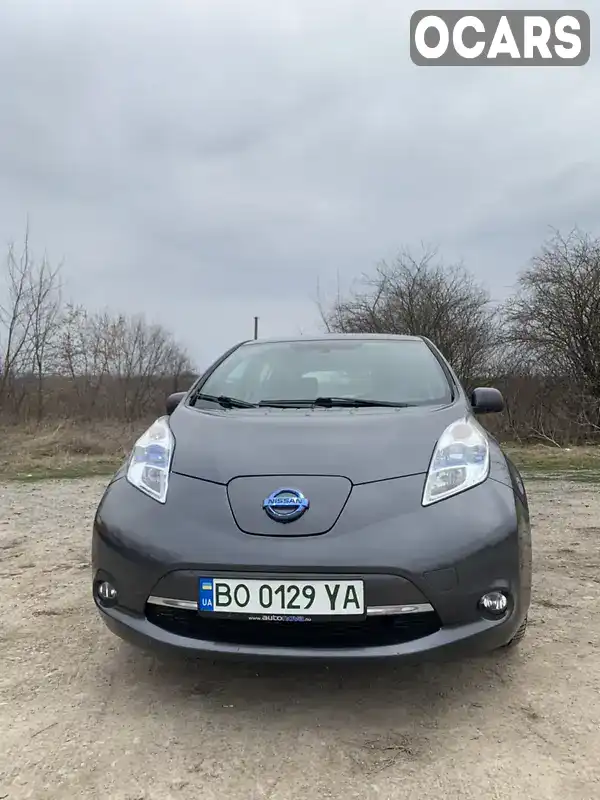 Хэтчбек Nissan Leaf 2013 null_content л. Автомат обл. Тернопольская, Чортков - Фото 1/14