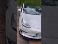 Седан Tesla Model 3 2020 null_content л. Автомат обл. Киевская, Киев - Фото 1/21