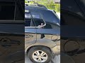 Позашляховик / Кросовер Hyundai Tucson 2009 2 л. Ручна / Механіка обл. Тернопільська, Тернопіль - Фото 1/16