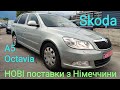 Универсал Skoda Octavia 2009 1.6 л. Ручная / Механика обл. Киевская, Киев - Фото 1/21