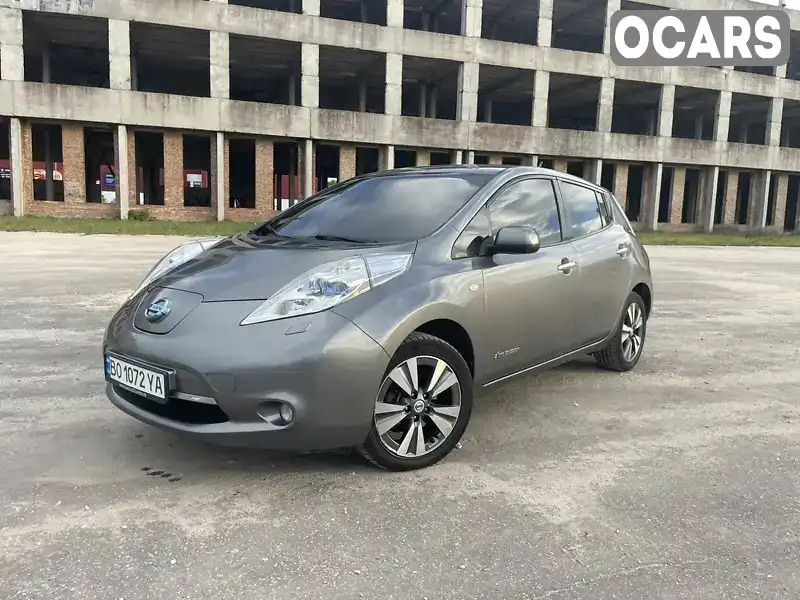 Хэтчбек Nissan Leaf 2013 null_content л. обл. Тернопольская, Тернополь - Фото 1/21