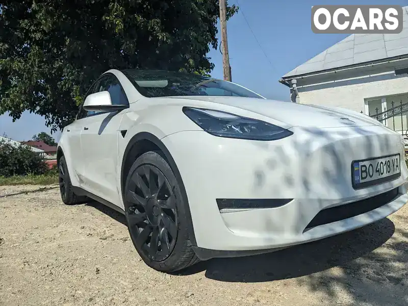 Внедорожник / Кроссовер Tesla Model Y 2023 null_content л. обл. Тернопольская, Збараж - Фото 1/18