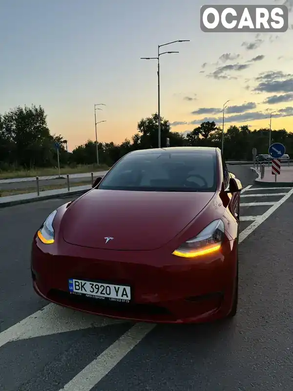 Внедорожник / Кроссовер Tesla Model Y 2021 null_content л. обл. Киевская, Киев - Фото 1/16