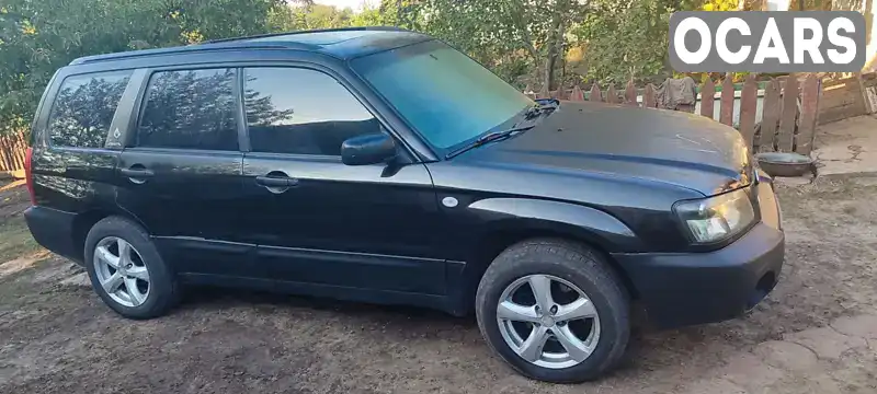 Внедорожник / Кроссовер Subaru Forester 2004 2.5 л. Автомат обл. Киевская, Киев - Фото 1/14